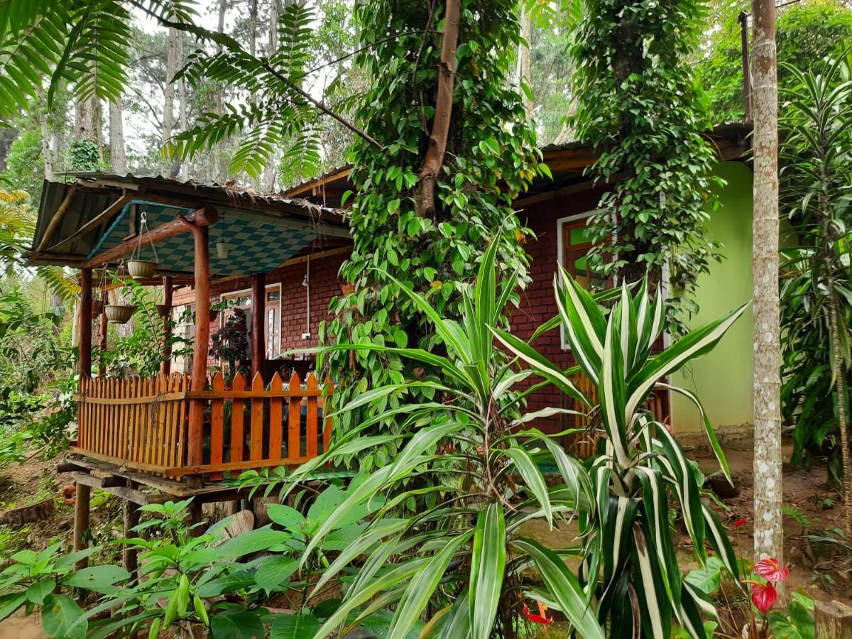 Green Heaven Lodge Ella Exterior foto