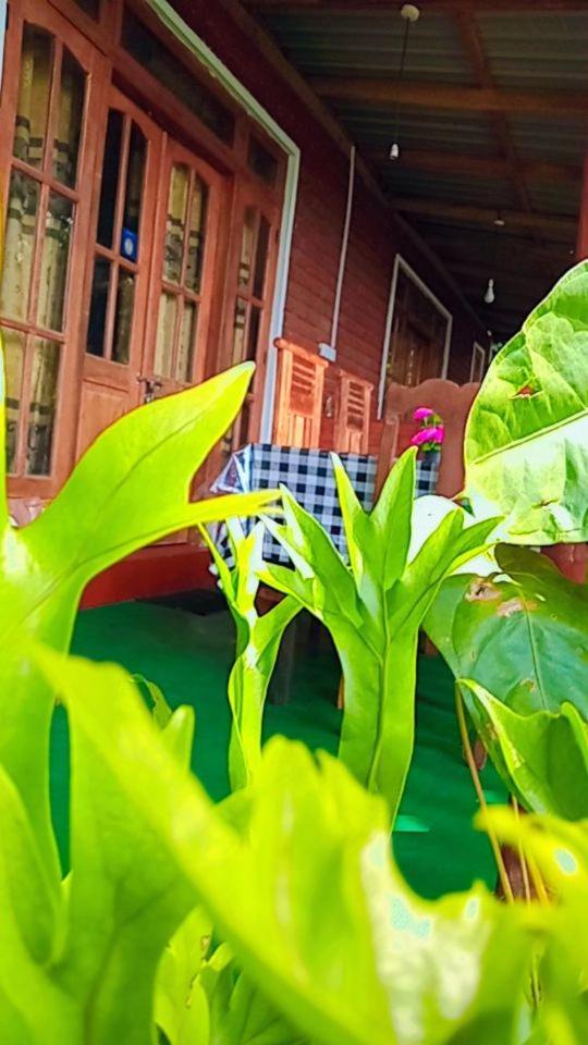 Green Heaven Lodge Ella Exterior foto